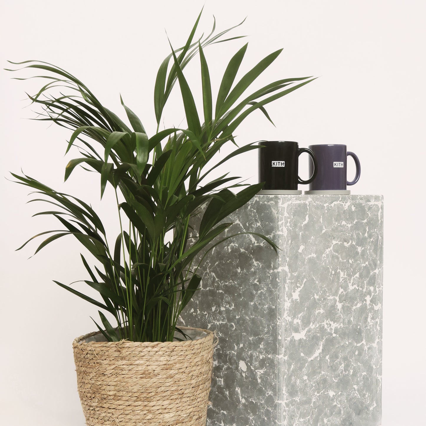 Rectangular Plinth Side Table